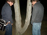 latin-piss-92
